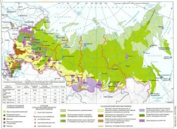 Доклад по теме Инвестирование в агропромышленный комплекс Украины